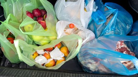 Startup Replaces 6 Million Plastic Bags with Prototype Made from Corn Waste That Decomposes in 180 Days
