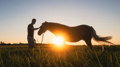 Tennessee Veterans Find Healing Working with ‘Bio-feedback machine’ Horses