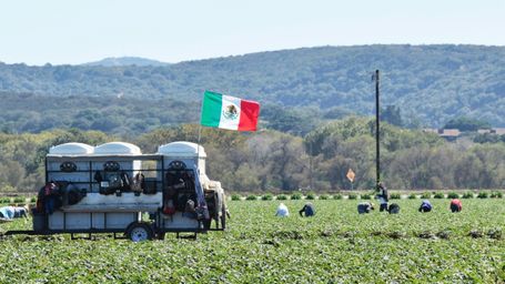 Mexico's Surprising Success in the Produce World