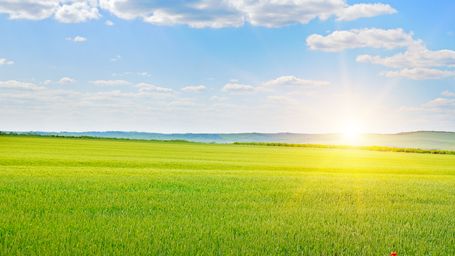 Vitamin D: Benefits, Sources, Deficiency