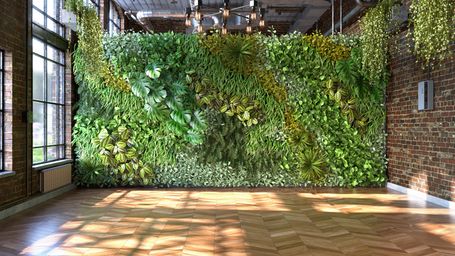 Using bioreceptive concrete to make moss walls