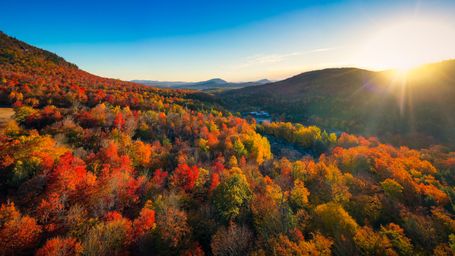 When and Where will Leaves Change Colors First?
