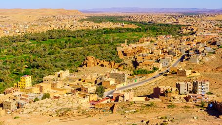 Sahara Desert Is Turning Green Amid Unusual Rains in Parts of North Africa