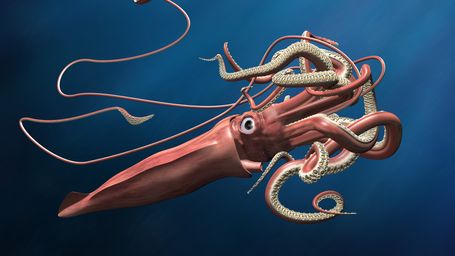 New Fabric Inspired by Squid is Leading to Temperature-Controlled Clothing