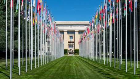 UN General Assembly: New Delegates And Political Declaration How To Cope With The Health Crisis