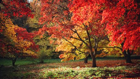 It’s not just you. Fall hasn’t really felt like fall this year and it’s a sign of things to come