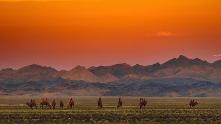 Mongolian herders fear a new coal highway to China