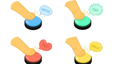 Dogs Really Can Communicate Via Sound Buttons!