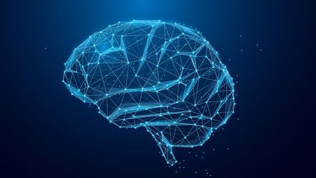 How Fast Is The Human Brain?