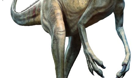 Jurassic highway: Hundreds of dinosaur footprints found in UK quarry