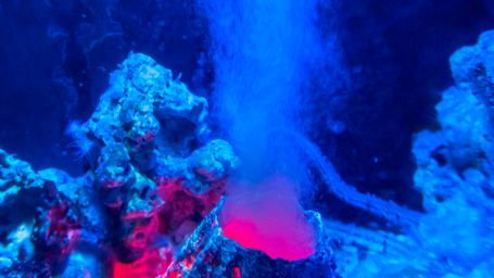 Underwater Volcano Off Oregon May Erupt This Year, Scientists Predict