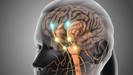 There's a speed limit to human thought — and it's ridiculously low