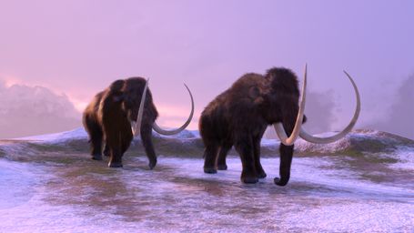 Friday Fun: Scientists say they are close to resurrecting a lost species. Is the age of de-extinction upon us?