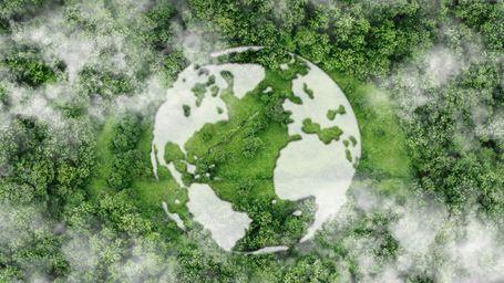 A new fungal battery can be tossed in the compost to biodegrade