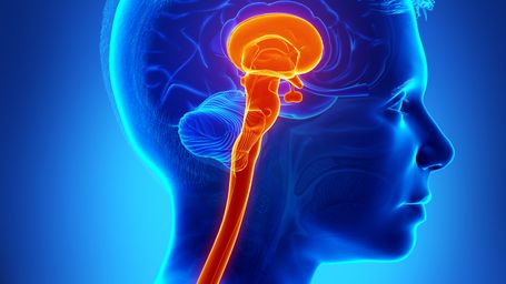 Vagus nerve stimulation may tame autoimmune diseases