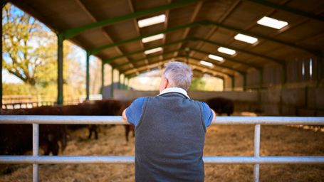Mental health group set up to support farmers