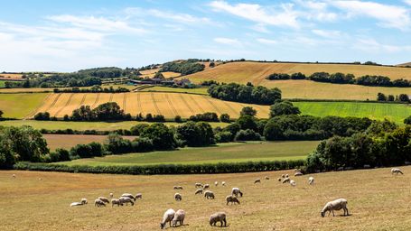 Scientists make game-changing discovery with centuries-old farming method — here's how it could transform food production