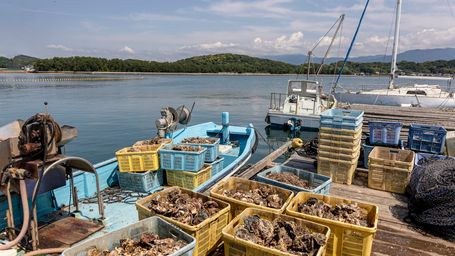 Southeast Asia’s Fish Supplies Remarkably Robust Despite Decades of Warnings About Overfishing