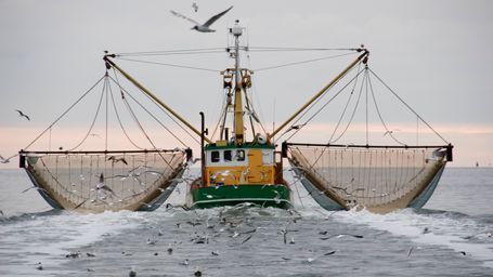 Changes In Fishing Practices Can Improve Carbon Levels In The Atmosphere