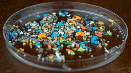 Microplastics are everywhere