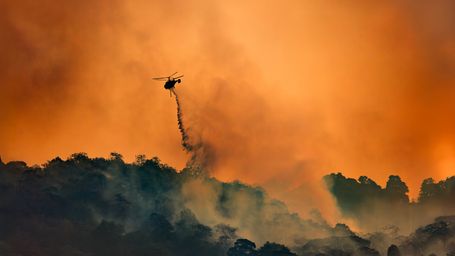 This Wildfire Detection System Smells Fires Minutes After They Ignite