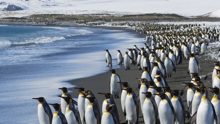 Antarctica Gained 200 Billion Tons of Ice During Recent Two-Year Period, Surprising Scientists