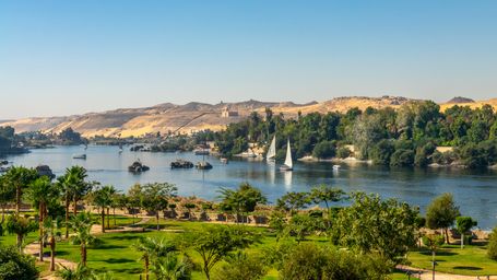 Egypt Leads Sustainable Tourism and Bird Habitat Protection/ Egipto lidera el turismo sostenible y la protección del hábitat de aves