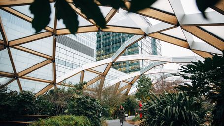Why Cities Need More Green Spaces