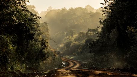 Why You Can’t Drive Between North and South America