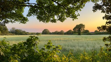 EU looks to 'nature credits' to fill green funding gap