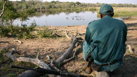 Honoring the Heroes of Conservation: World Ranger Day