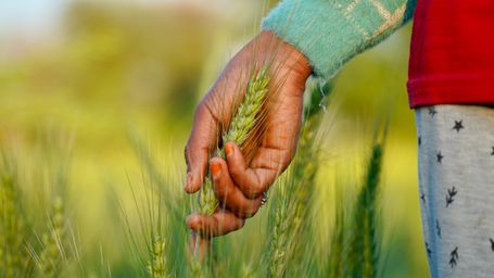 In rural heartlands women lead green revolution silently