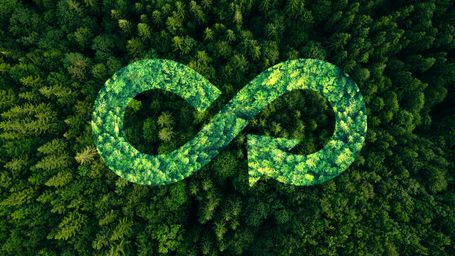 Understanding the Circular Economy