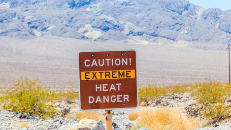 This Shrub Thrives in Death Valley’s Scorching Temperatures. Where Do Its Heat-Tolerant Superpowers Come From?