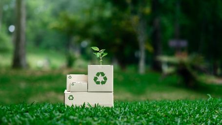 Supporting Small Businesses and Why Sustainability Adds Value