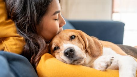 Paws, What!? Dogs Are Secretly Listening In on Our Conversations