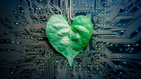 Green Coding Guide to Energy Profiling and Carbon Reduction
