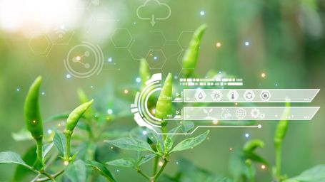 Generative AI: Is It the New Major Driver of Climate Change?