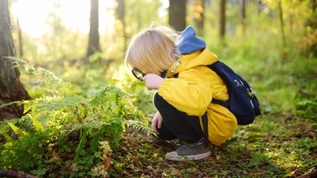 Why Outdoor Learning Matters More Than Ever