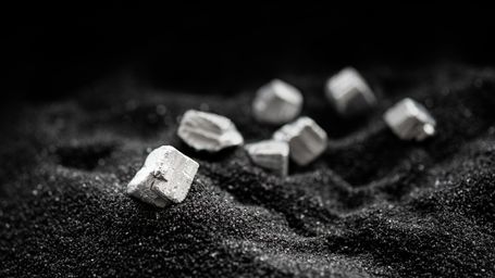 Fungi mining and giant waste piles: How to get rare earths without mining rock