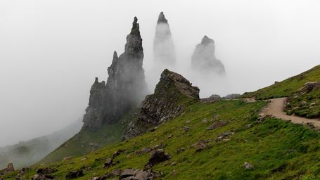 Wonderful Wildlife Recovery at Scotland's Rewilding Sites