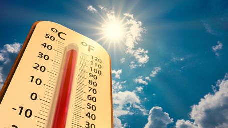 Rising Temperatures Are Called 'Stupid Hot' For a Reason