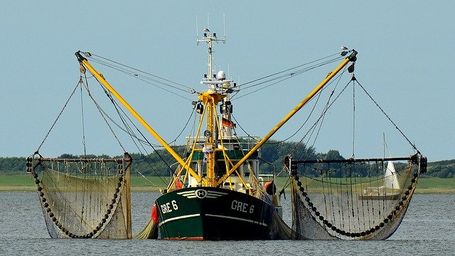 Shrimp Boat Safety