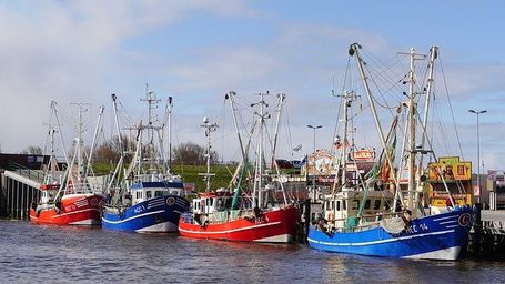 Injuries for unsafe Shrimping Boat