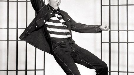 Elvish at Forrest's house