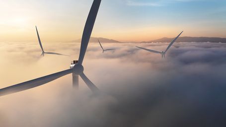 DoD's Wind Freeze and the APA Reckoning