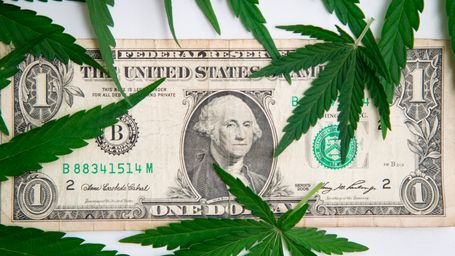 The IRS Thinks Cannabis Has Five Growth Stages. It Has Four.
