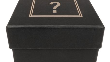 A Jury Isn't (Completely) a Black Box