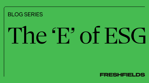 The ‘E‘ of ESG: Greenwashing under the spotlight – recent trends in the US
