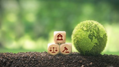 On the road(map) to sustainable investing: The FCA’s final rules on sustainability disclosures and labelling